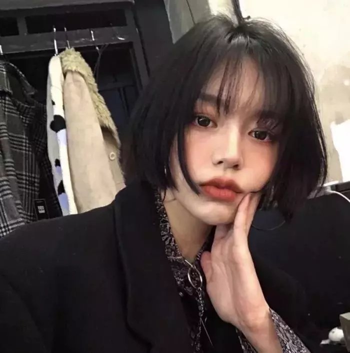 返朴